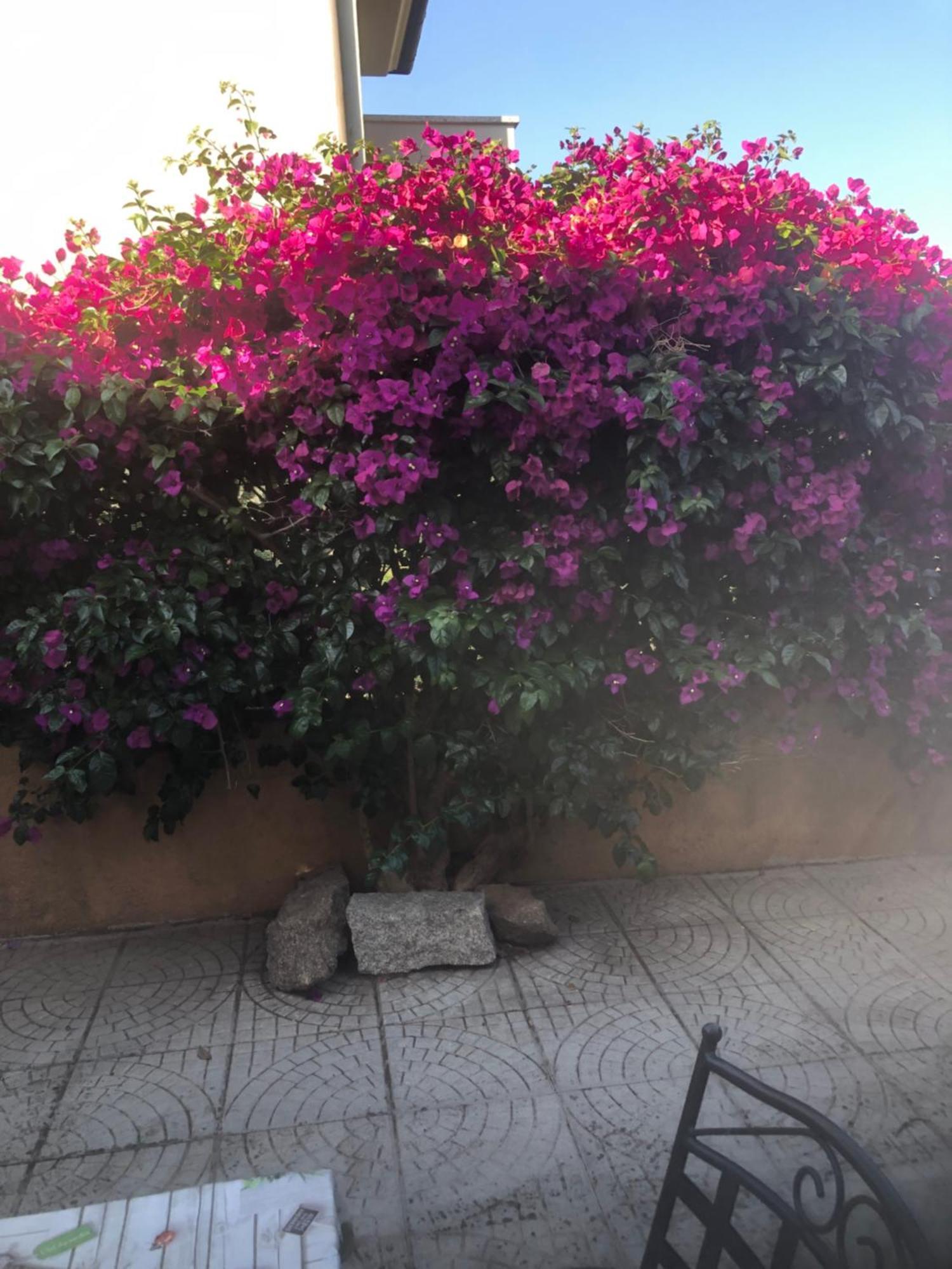 Casa Francesca Apartment